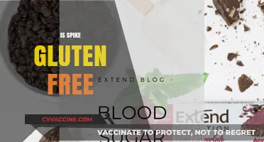 Is Spike Gluten-Free? Uncovering the Truth About This Ingredient