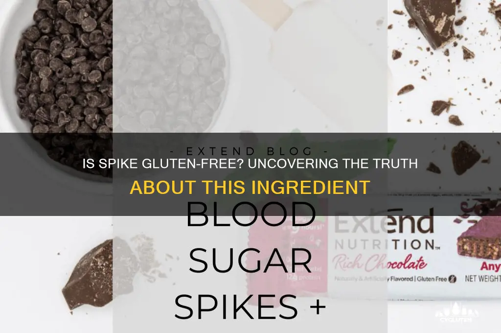 is spike gluten free