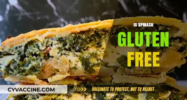Is Spinach Gluten-Free? A Clear Answer for Your Diet