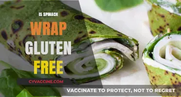 Is Spinach Wrap Gluten-Free? Unwrap the Truth and Eat Safely