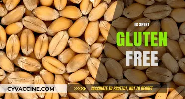 Is Spelt Gluten-Free? Understanding This Ancient Grain's Role in Diets
