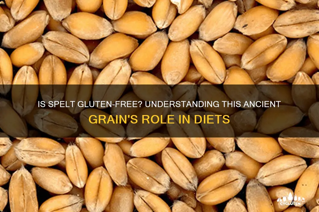is splet gluten free