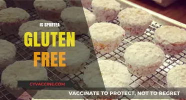 Is Sportea Gluten Free? A Complete Guide for Fitness Enthusiasts