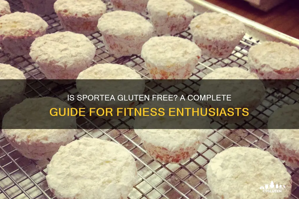is sportea gluten free