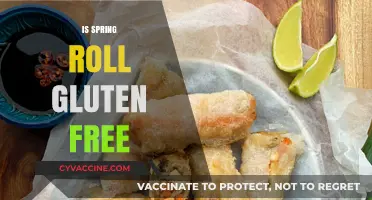Are Spring Rolls Gluten-Free? A Complete Guide to Ingredients