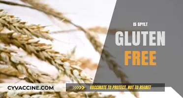 Is Spylt Gluten-Free? Uncovering the Truth About This Ancient Grain