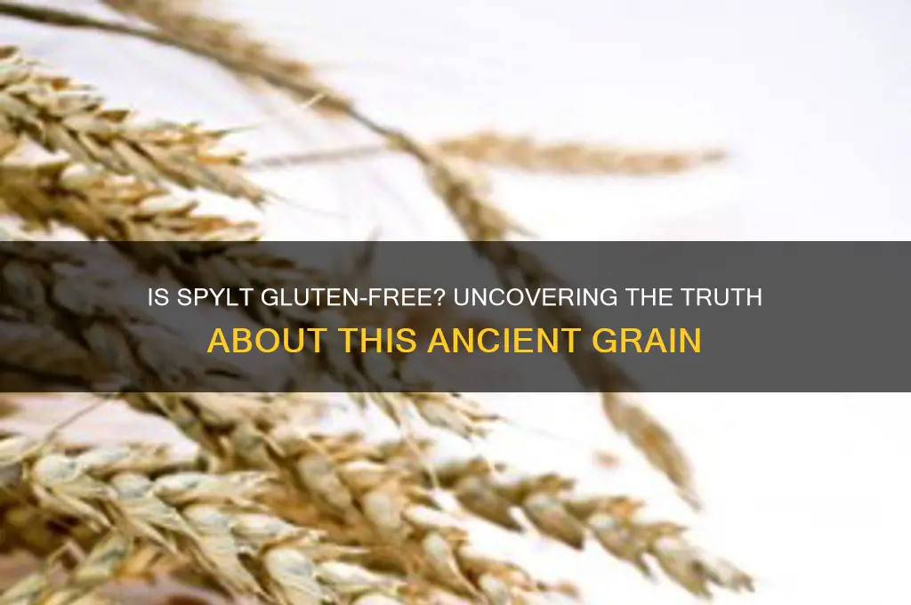 is spylt gluten free