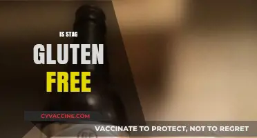 Is Stag Gluten Free? Uncovering the Truth About This Popular Drink
