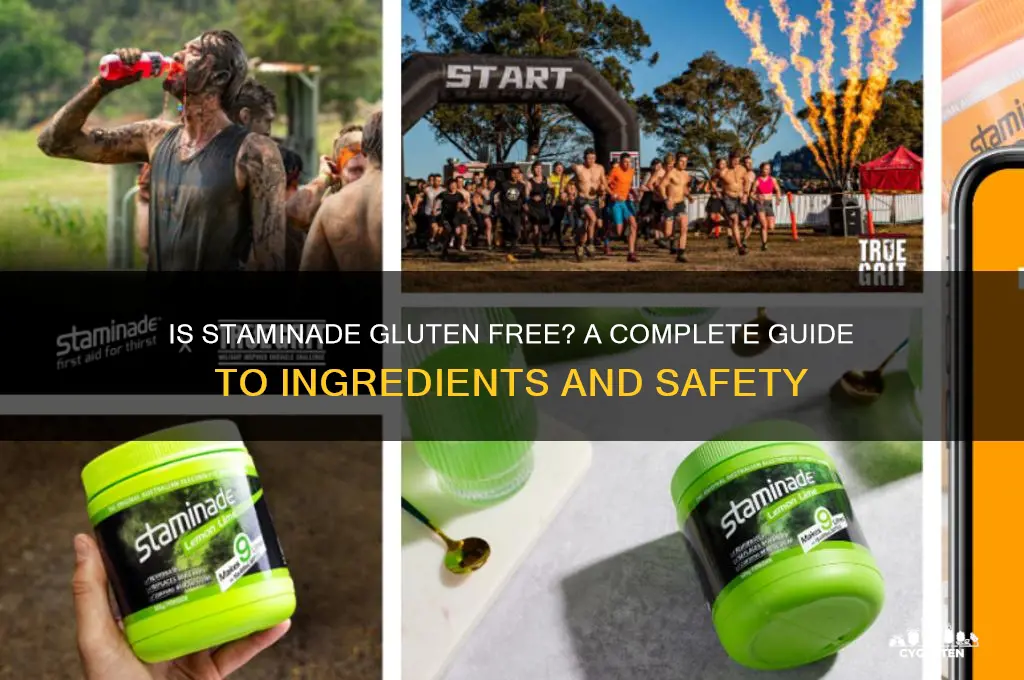 is staminade gluten free