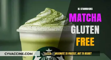 Is Starbucks Matcha Gluten-Free? A Detailed Answer for You