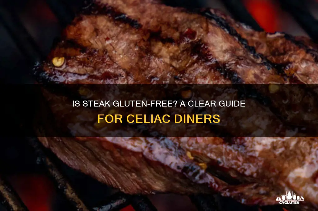 is steak gluten-free