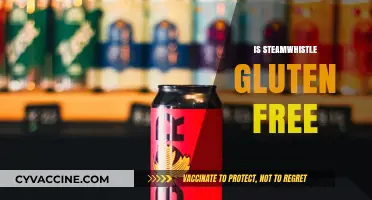 Is Steamwhistle Gluten-Free? Unveiling the Truth About This Craft Beer