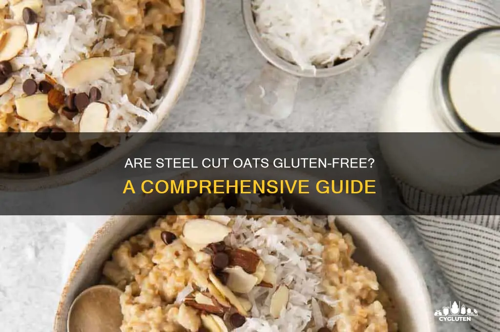 is steel oats gluten free