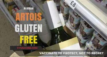 Is Stella Artois Gluten-Free? Exploring the Beer's Ingredients and Safety
