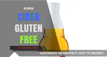 Is Stella Cider Gluten-Free? A Complete Guide for Cider Lovers