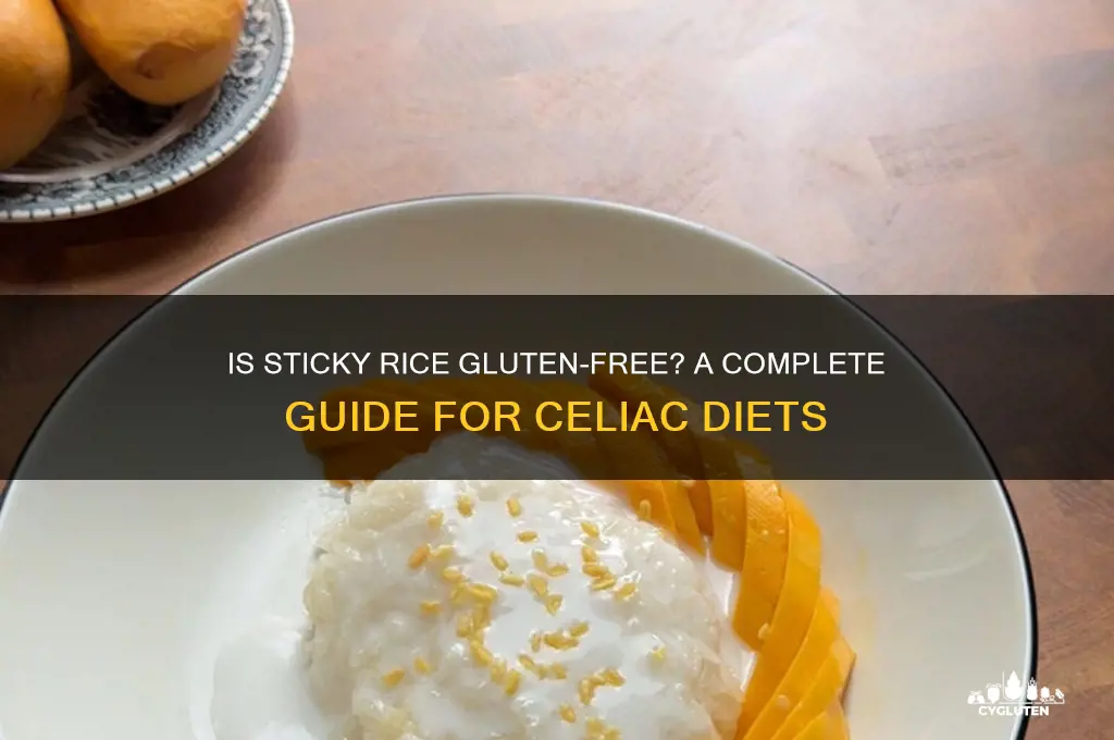 is sticky rice gluten free