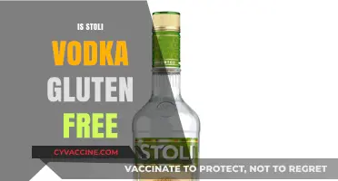 Is Stoli Vodka Gluten-Free? A Complete Guide for Celiac Drinkers