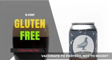 Is Stout Gluten-Free? Exploring Beer Options for Celiac Sufferers