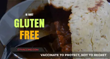 Is Suet Gluten Free? A Comprehensive Guide for Dietary Needs
