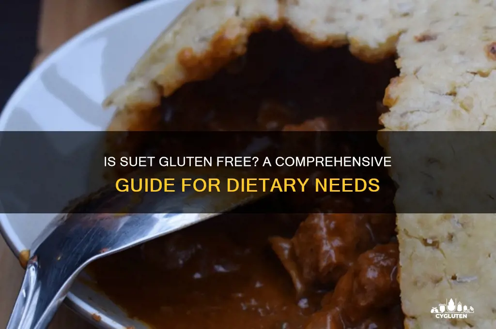 is suet gluten free