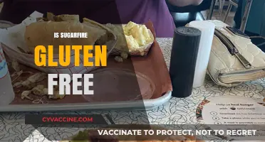 Is Sugarfire Gluten-Free? A Complete Guide to Their Menu Options
