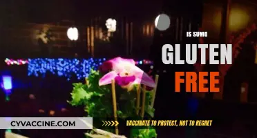 Is Sumo Gluten-Free? Uncovering the Truth About This Popular Dish