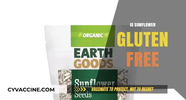 Sunflower Seeds and Products: Are They Gluten-Free Options?