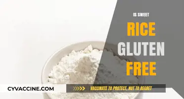 Is Sweet Rice Gluten-Free? A Complete Guide for Celiac Diets