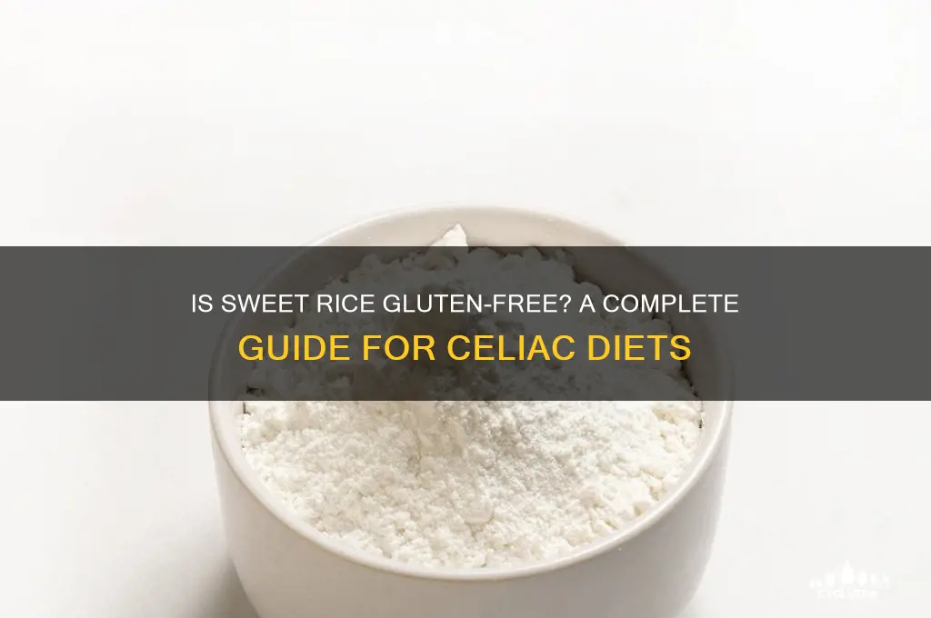 is sweet rice gluten free