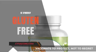 Is Synergy Gluten-Free? A Comprehensive Guide to Your Dietary Needs