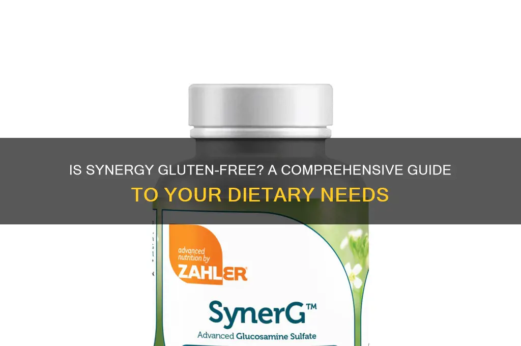 is synergy gluten free