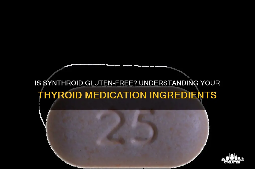 is synthroid gluten-free