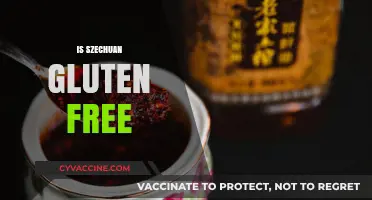 Is Szechuan Sauce Gluten-Free? A Complete Guide for Foodies