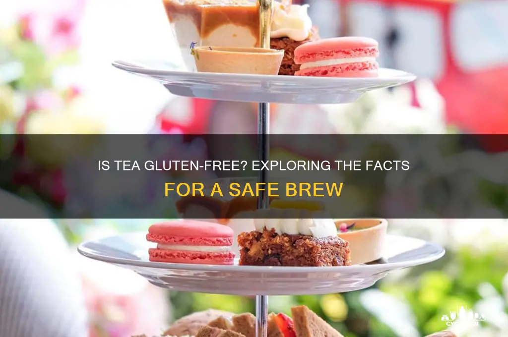 is t gluten free