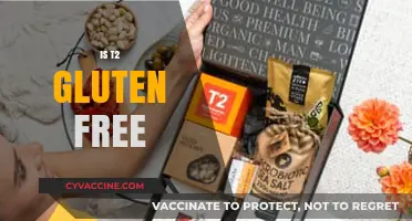 Is T2 Gluten-Free? Unraveling the Truth for Your Diet