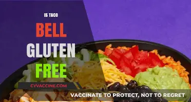 Is Taco Bell Gluten-Free? A Comprehensive Guide to Safe Options