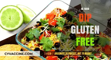 Is Taco Dip Gluten-Free? A Complete Guide to Ingredients and Options