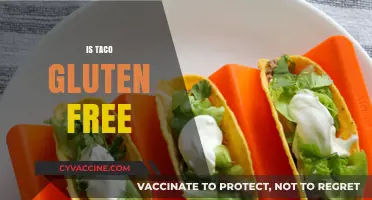Are Tacos Gluten-Free? A Guide to Safe Taco Ingredients