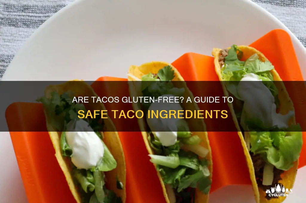 is taco gluten free