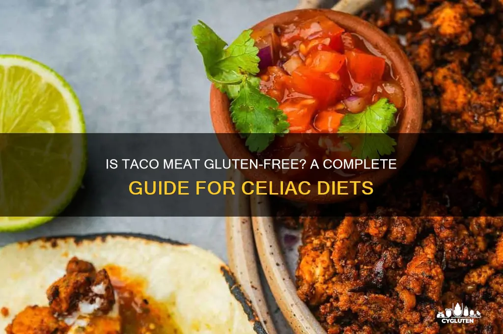 is taco meat gluten free