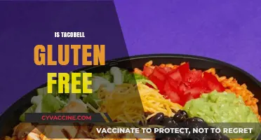Is Taco Bell Gluten-Free? Exploring Menu Options for Celiac Diners