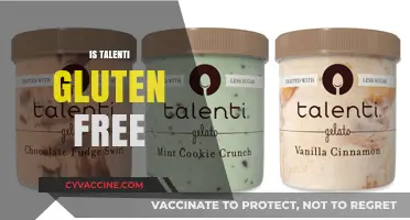 Is Talenti Gluten-Free? A Complete Guide to Safe Indulgence