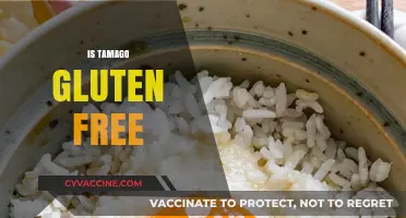 Is Tamago Gluten-Free? Exploring Japanese Cuisine's Egg Delicacy