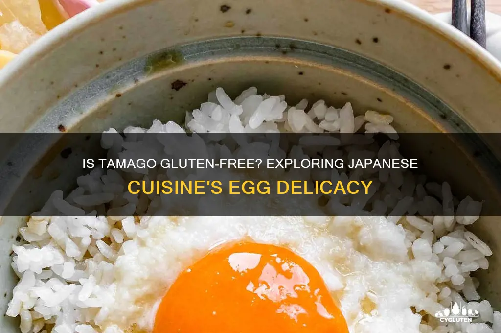 is tamago gluten free