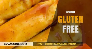 Are Tamales Gluten-Free? Unraveling the Ingredients and Preparation