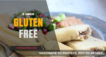 Are Tamales Gluten-Free? A Complete Guide to Ingredients and Preparation