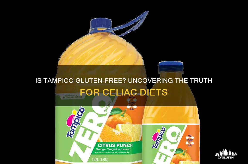 is tampico gluten free