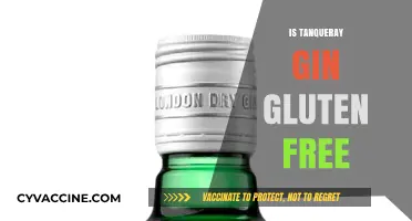 Is Tanqueray Gin Gluten-Free? A Complete Guide for Gin Lovers