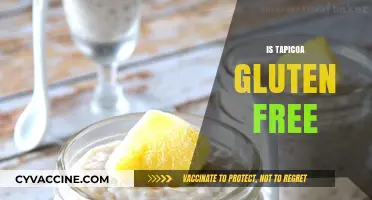 Is Tapioca Gluten-Free? A Clear Answer for Celiac Diets
