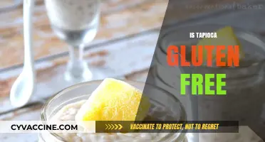 Is Tapioca Gluten-Free? A Clear Answer for Celiac Diets